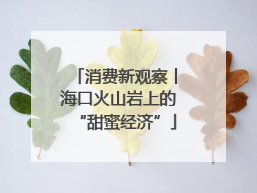 消费新观察丨海口火山岩上的“甜蜜经济”