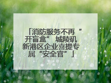 消防服务不再“开盲盒” 城陵矶新港区企业喜提专属“安全官”
