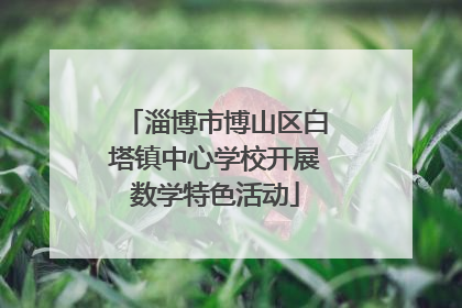 淄博市博山区白塔镇中心学校开展数学特色活动