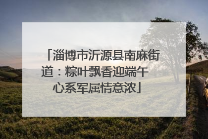 淄博市沂源县南麻街道：粽叶飘香迎端午 心系军属情意浓