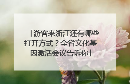 游客来浙江还有哪些打开方式？全省文化基因激活会议告诉你