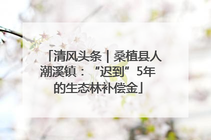 清风头条｜桑植县人潮溪镇：“迟到”5年的生态林补偿金