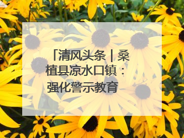 清风头条｜桑植县凉水口镇：强化警示教育 构筑廉洁防线