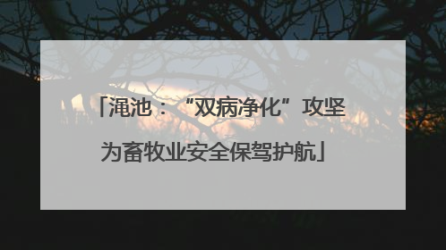 渑池：“双病净化”攻坚 为畜牧业安全保驾护航