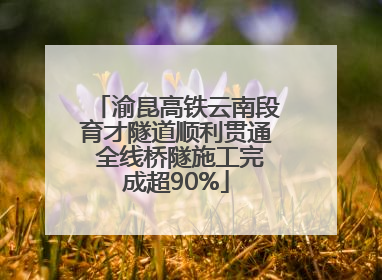 渝昆高铁云南段育才隧道顺利贯通 全线桥隧施工完成超90%