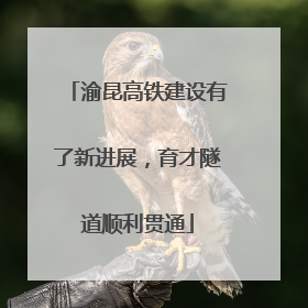 渝昆高铁建设有了新进展，育才隧道顺利贯通