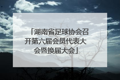 湖南省足球协会召开第六届会员代表大会暨换届大会