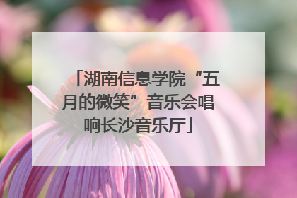 湖南信息学院“五月的微笑”音乐会唱响长沙音乐厅