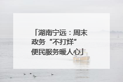 湖南宁远：周末政务“不打烊” 便民服务暖人心