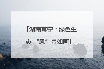 湖南常宁：绿色生态 “风”景如画
