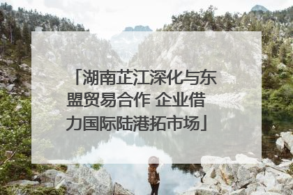 湖南芷江深化与东盟贸易合作 企业借力国际陆港拓市场