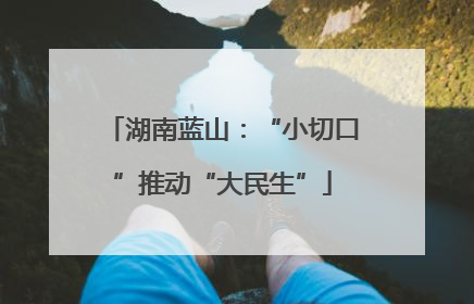 湖南蓝山：“小切口”推动“大民生”