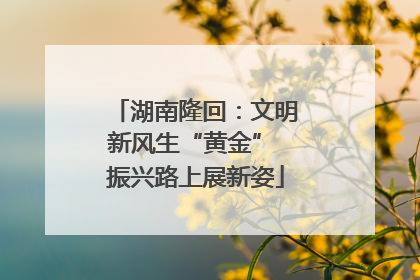 湖南隆回：文明新风生“黄金” 振兴路上展新姿