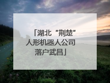 湖北“荆楚”人形机器人公司落户武昌