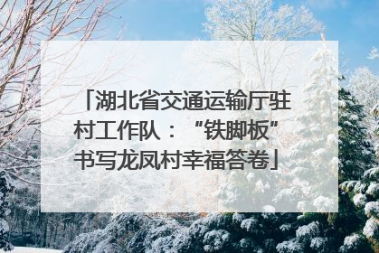 湖北省交通运输厅驻村工作队：“铁脚板”书写龙凤村幸福答卷