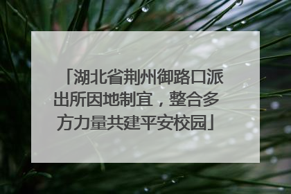 湖北省荆州御路口派出所因地制宜，整合多方力量共建平安校园