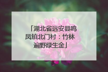 湖北省远安县鸣凤镇北门村：竹林遍野绿生金