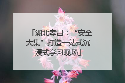 湖北孝昌：“安全大集”打造一站式沉浸式学习现场