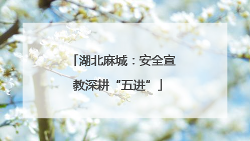 湖北麻城：安全宣教深耕“五进”