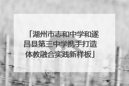 湖州市志和中学和遂昌县第三中学携手打造体教融合实践新样板