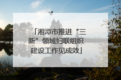 湘潭市推进“三新”领域妇联组织建设工作见成效