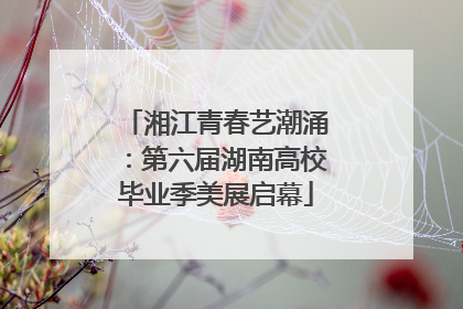 湘江青春艺潮涌：第六届湖南高校毕业季美展启幕