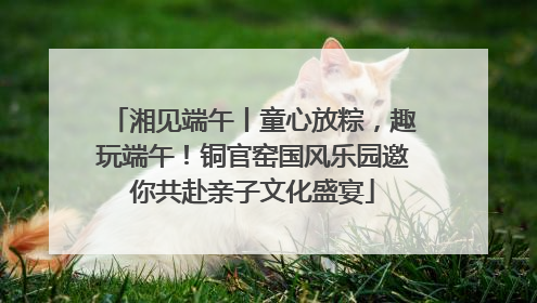湘见端午丨童心放粽，趣玩端午！铜官窑国风乐园邀你共赴亲子文化盛宴