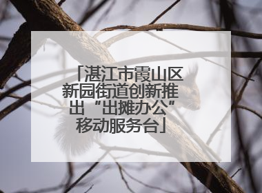 湛江市霞山区新园街道创新推出“出摊办公”移动服务台