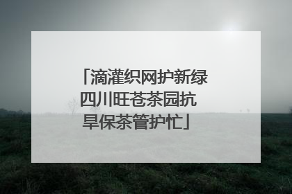 滴灌织网护新绿 四川旺苍茶园抗旱保茶管护忙