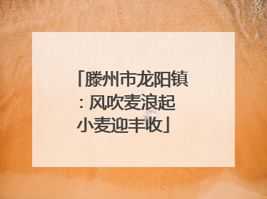 滕州市龙阳镇：风吹麦浪起 小麦迎丰收