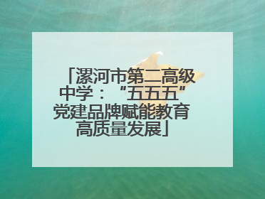 漯河市第二高级中学：“五五五”党建品牌赋能教育高质量发展