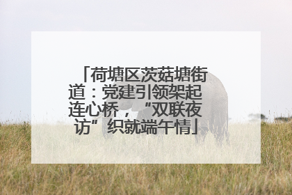 荷塘区茨菇塘街道：党建引领架起连心桥，“双联夜访”织就端午情