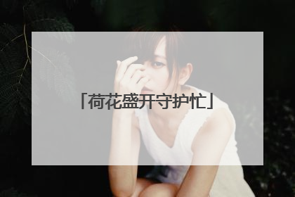荷花盛开守护忙