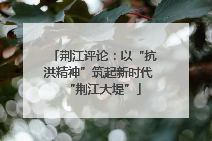 荆江评论：以“抗洪精神”筑起新时代“荆江大堤”