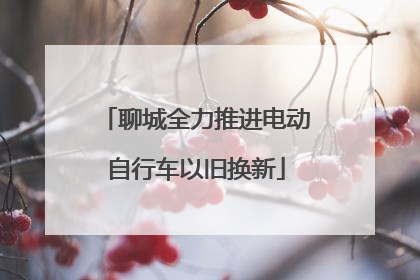 聊城全力推进电动自行车以旧换新