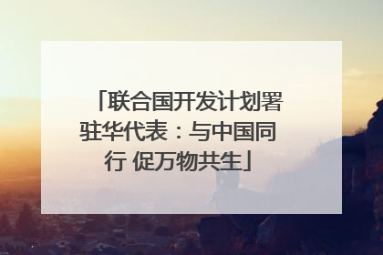 联合国开发计划署驻华代表：与中国同行 促万物共生