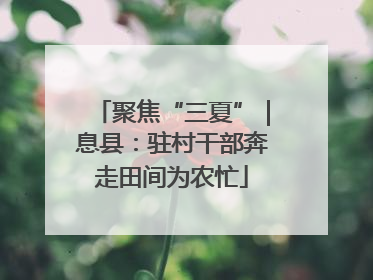 聚焦“三夏”｜息县：驻村干部奔走田间为农忙