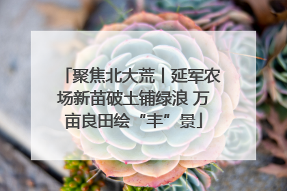 聚焦北大荒丨延军农场新苗破土铺绿浪 万亩良田绘“丰”景