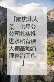 聚焦北大荒｜七星分公司扎实推进水稻育秧大棚基地清理整治工作