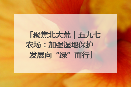 聚焦北大荒｜五九七农场：加强湿地保护 发展向“绿”而行