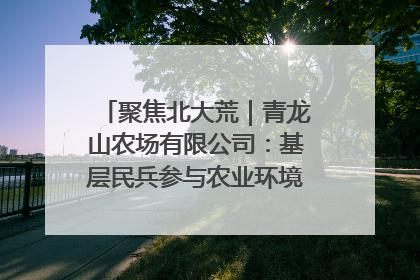 聚焦北大荒｜青龙山农场有限公司：基层民兵参与农业环境综合治理显效