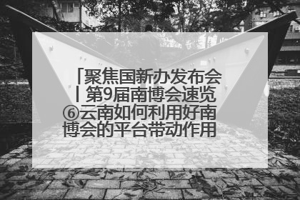 聚焦国新办发布会丨第9届南博会速览⑥云南如何利用好南博会的平台带动作用，深化与南亚国家的交流与合作？