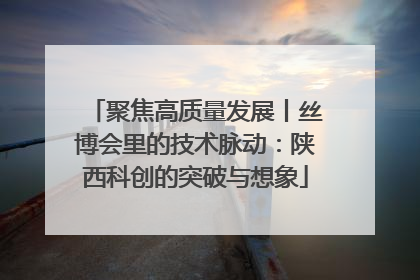 聚焦高质量发展丨丝博会里的技术脉动：陕西科创的突破与想象