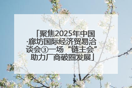 聚焦2025年中国·廊坊国际经济贸易洽谈会③一场“链主会” 助力厂商破圈发展