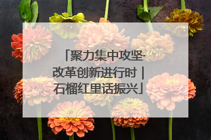 聚力集中攻坚·改革创新进行时｜石榴红里话振兴