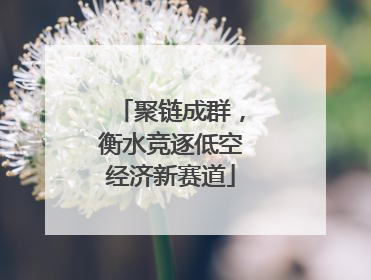 聚链成群，衡水竞逐低空经济新赛道