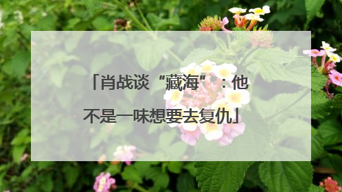 肖战谈“藏海”：他不是一味想要去复仇