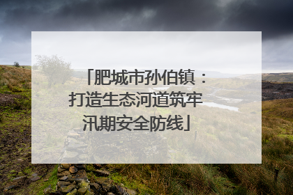 肥城市孙伯镇：打造生态河道筑牢汛期安全防线