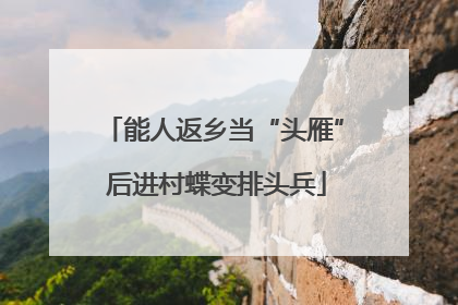 能人返乡当“头雁” 后进村蝶变排头兵