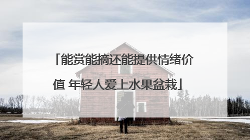 能赏能摘还能提供情绪价值 年轻人爱上水果盆栽